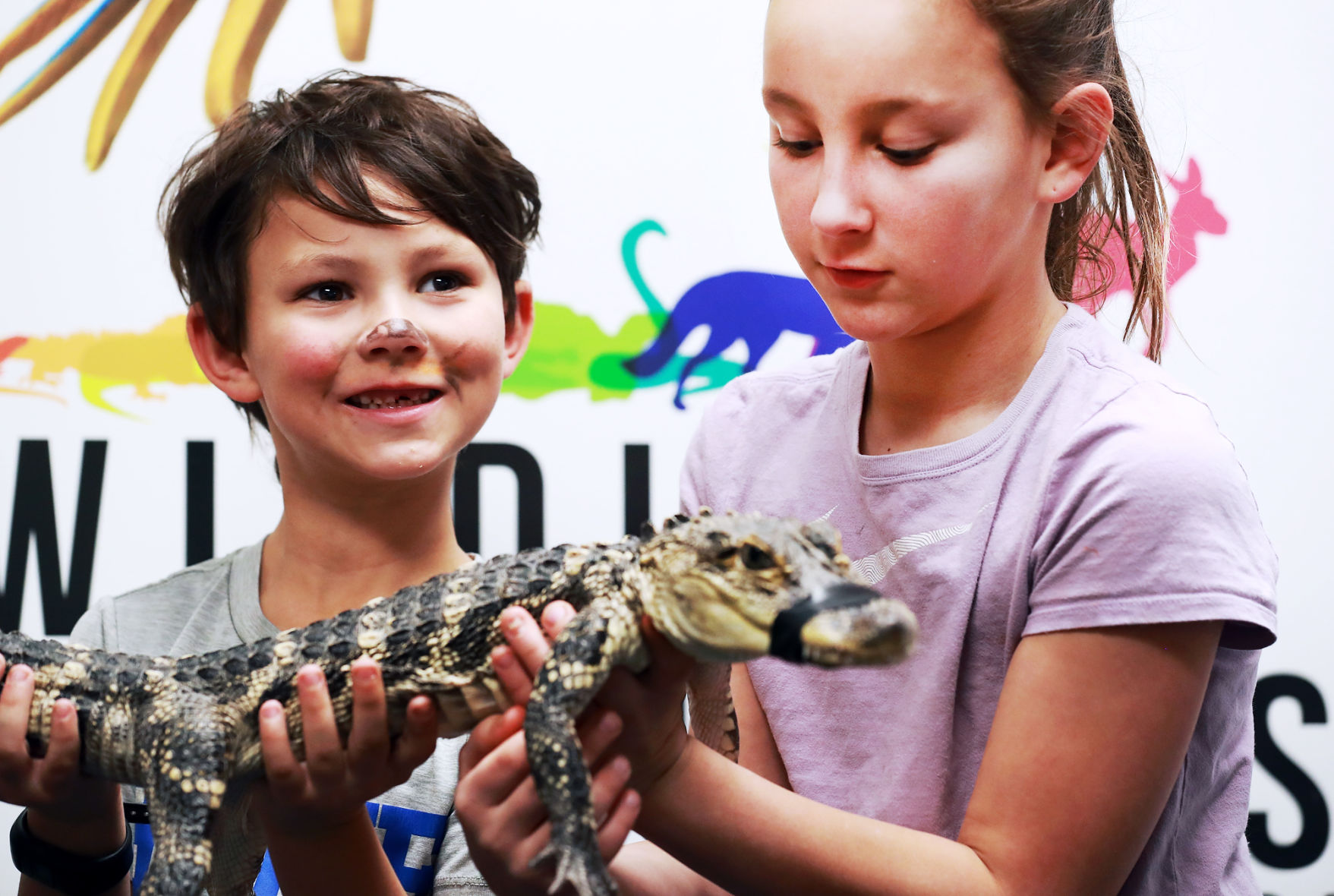 111719_ActiveAnimals008_bjs.JPG